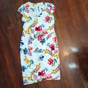 White flora Dress New York and Company
